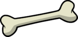 bone